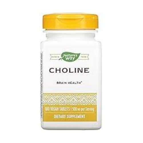 NATURES WAY 500Mg 100 Tb Choline, 100 CT
